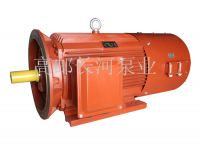 YTSP、YTSZ系列變頻調(diào)速三相異步電動(dòng)機(jī)